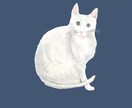 ペットのイラストを描きます 犬・猫・小鳥などあなたのペットをおしゃれに描きます イメージ3