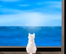 MVや動画用の背景イラストをお描きします アニメ風のエモい風景や背景イラストを丁寧に制作いたします！ イメージ1