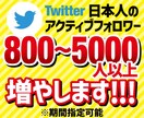 Twitter日本人フォロワー800人以上増ます サービス開始価格・拡散・宣伝増加を保証 イメージ1