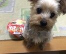 社会保険労務士試験の合格のノウハウ教えます 社労士受験生YouTuberの社労人が教えます イメージ2