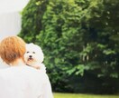 病院トリマーがシニア犬ケアのご相談に乗ります 一緒にできることを探しましょう！ イメージ1