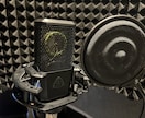 低音/落ち着いた声のナレーションを提供します ドキュメンタリー/企業紹介/研修動画/朗読等に対応可能です。 イメージ2