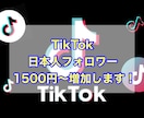 TikTok日本人フォロワー増加します 高品質の日本人アカウントです☆ イメージ1