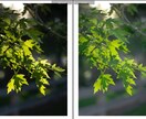 Lightroomで写真をナチュラルに編集します どんな写真も魅了的にLightroom Classicで イメージ9