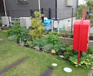 植物全般のお悩み相談、技術指導、承ります 観葉植物、お花、植木、育成、植え込み、デザイン、何でもOK イメージ8