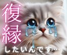 本気で復縁！日本未入荷のオラクルで将来を視ます 今後を変える第一歩の恋愛相談♡執着を手放し理想の未来へ イメージ2