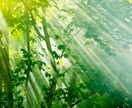 守護霊からのメッセージと具体的なワークを伝えます 使命・天命を知り充実した人生を歩むための第一歩を踏み出そう。 イメージ8