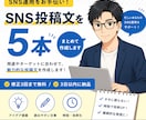SNS投稿文を５本まとめて作成します ご注文から短時間で使える文章をまとめて作成 イメージ1