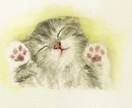 写真から描くペット似顔絵を作成します あたたかみのある手描きイラストでプレゼントにも◎ イメージ2