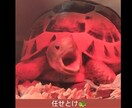 あなたのお話何でも聞きます 生きるって大変 ちょっとお話しましょうよ イメージ1