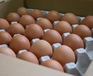 市場出荷しない農業経営の相談にのります 自分の商品としてブランディングし、生産物を売りましょう！ イメージ6