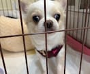 まずはお気軽に。悩みの解決の為にお話聞きます 短時間からでも対応致します。思っていることをお伝えください。 イメージ1