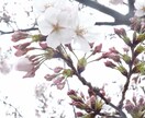 各種相談事承ります 学業や恋愛、日常で困ってる事など、何でも聞きます。 イメージ1