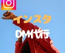 インスタDM運用代行をいたします InstagramでのDM運用代行をいたします イメージ1