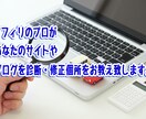 アフィリエイトのプロがサイト診断修正個所を教えます サイトを持っているけれど全然アクセスが上がらない！という方！ イメージ1