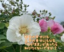 男心？そんなの気にしなくて良い！理由教えます 好かれるために、良い女にならなきゃ、結婚するには、、、 イメージ3