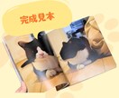 ペットの写真集（フォトブック）をつくります 写真を送るだけ！ペットの写真を本にしませんか？ イメージ4