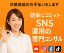 SNS運用の専門家パフォーマンスの向上させます 結果が出ないアルゴリズムを解析します イメージ1