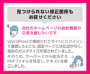 WP・HP・サイトの修正・更新を丁寧に対応します WordPressの「困った」を一緒に解決します！ イメージ2