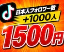 TikTok日本人フォロワー数+1000増やします ⭐️様々なSNSと要望に対応しております⭐️ イメージ1