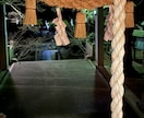 大祓詞を120分現役神主が奏上します あなたやご家族の為に大祓詞を120分誠心誠意お祓いします。 イメージ3