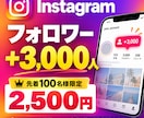 インスタのフォロワーを3000人増やします 【先着100名様限定】特別価格でご提供中！ イメージ1