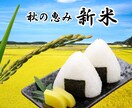 Web画像を制作いたします バナー、サムネイル、リッチメニュー、インスタ画像の制作 イメージ8