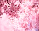 日本の三女神のアチューメントを提供します 菊理姫、木花咲耶姫、瀬織津姫の力で内なる輝きを呼び覚ます。 イメージ6