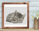 ペットの写真をクロスステッチの図案にします 「うちの子」が、刺繍アートになる日。 イメージ3