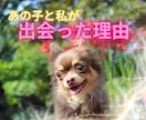 あの子と繋がり、出会った理由と使命を伝えます 消えない魂の約束を優しい言葉に整えてお届けします イメージ1