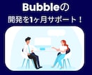ノーコードBubbleの開発を1ヶ月サポートします 定期的なビデオチャットやメッセージで質問に回答します！ イメージ1