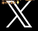 Ｘ(エックス)日本人フォロワー100人増やします 本物の日本人フォロワーが増えます。 イメージ2
