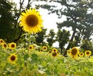 1コイン！5往復で相談/雑談/愚痴…何でも聞きます 喜怒哀楽の共有を！一緒に人間らしく生きましょう。 イメージ2