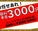 格安【YouTuber向け！】動画編集いたします 様々なジャンルに対応しています！ イメージ1