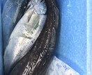 マス釣りをする方必見の簡単で最高のレシピ教えます 釣りは好きでも食べ方の種類があまりなく困っている方必見！ イメージ2