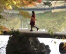 東京23区内で風景・食べ物の写真撮影を代行します 東京23区内であなたの代わりに出向き、東京の写真を撮影します イメージ4