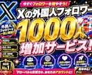 Xフォロワー外国人1000人増やします 最安値でX外国人フォロワー1000人増やします イメージ1