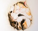 プロ絵師が動物の似顔絵を可愛くそっくりに描きます リアルなタッチでしっかり特徴をとらえた明るいイラスト♡ イメージ9