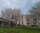 コスパとお手軽さを追求した翻訳サービスを提供します 現役東大生とネイティブの院生がタッグを組みました! イメージ2