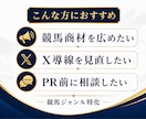 競馬Xを1ヶ月伴走しあなたの商品をPRします 改善だけで終わらず拡散まで支援 イメージ3