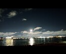 写真撮影、動画撮影します 素人目線のほのぼの系の写真撮影 イメージ3