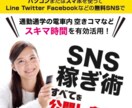 SNSマーケティングのコンサルを行います 誰でもゼロから始められるマーケティング イメージ1