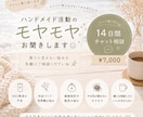 14日間ハンドメイド相談乗ります ひとりで抱え込まなくて大丈夫☆*。 イメージ1