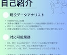 データ集計抽出から分析まで行います 現役データアナリストが担当いたします！ イメージ2