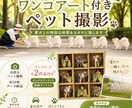 ワンちゃんアート付きペット撮影ます 愛犬との特別な瞬間を作品にします。 イメージ1