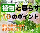 植物や花と幸せに暮らす10のポイントをお教えします ガーデニングやインテリア風水として植物や花を楽しみたい方に イメージ1