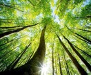 あなたに宿る霊能力を呼び覚まし可能性を広げます 霊感・霊力の覚醒｜深層に眠った才能を開花させ運命の道へ イメージ7