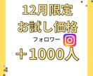 半額!　インスタフォロワー1000人増やします 業界最安。12月のみの割引価格、新規出品お安くしております イメージ1