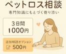 ペットロスでつらい方へ｜動物看護師がお話を伺います ペットロス経験者として3日間優しく気持ちに寄り添います。 イメージ1
