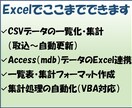 CSV・AccessをExcelで一覧・集計します 一覧作成・項目別に自動集計／デモ版で事前確認可能 イメージ3